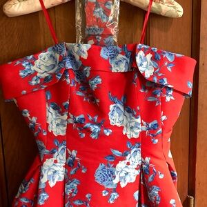 SACHIN + BABI Dress Size 10 Evening Gown Brielle Red Blue Floral Strapless